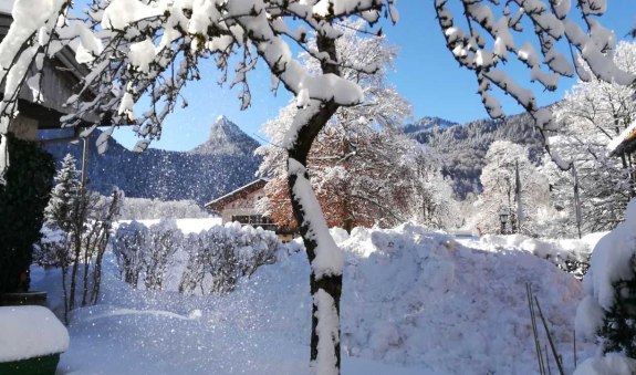 Garten, &copy; im-web.de/ Tourist-Information Kreuth