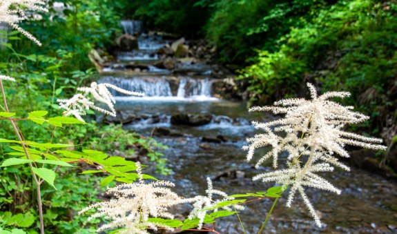 Brandner Kaspar_Alpbachtal &copy; Der Tegernsee, Sabine Ziegler-Musiol, &copy; DER TEGERNSEE, Sabine Ziegler-Musiol