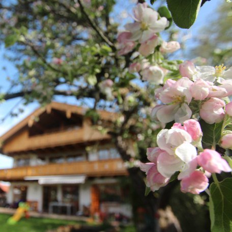 unser Haus, © im-web.de/ Gäste-Information Schliersee in der vitalwelt schliersee