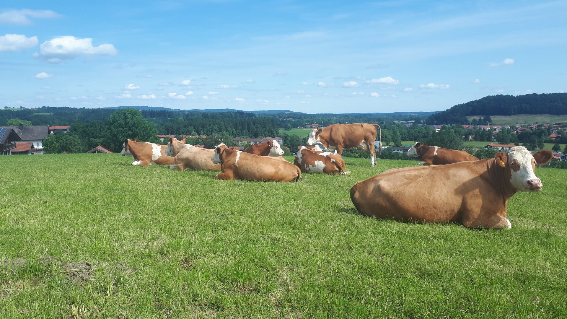 Heiß am Rain EKF Heiß am Rain EKF