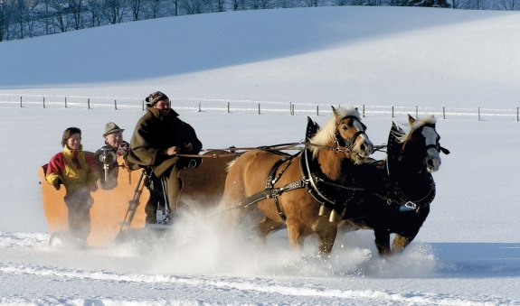 Pferdeschlittenfahrten_Sprenger.jpg Pferdeschlittenfahrten_Sprenger.jpg
