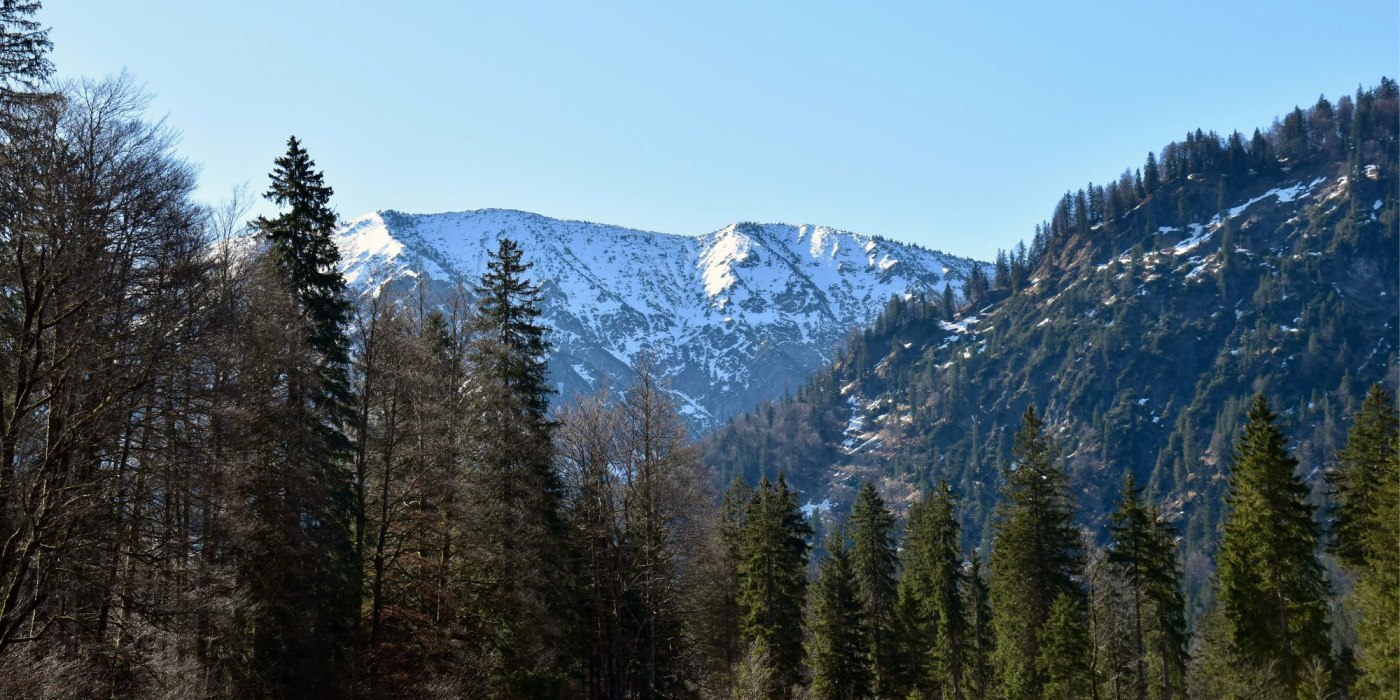 aussenmood_20232, © Bachmair Weissach (Louisa Kirsch) aussenmood_20232, © Bachmair Weissach (Louisa Kirsch)