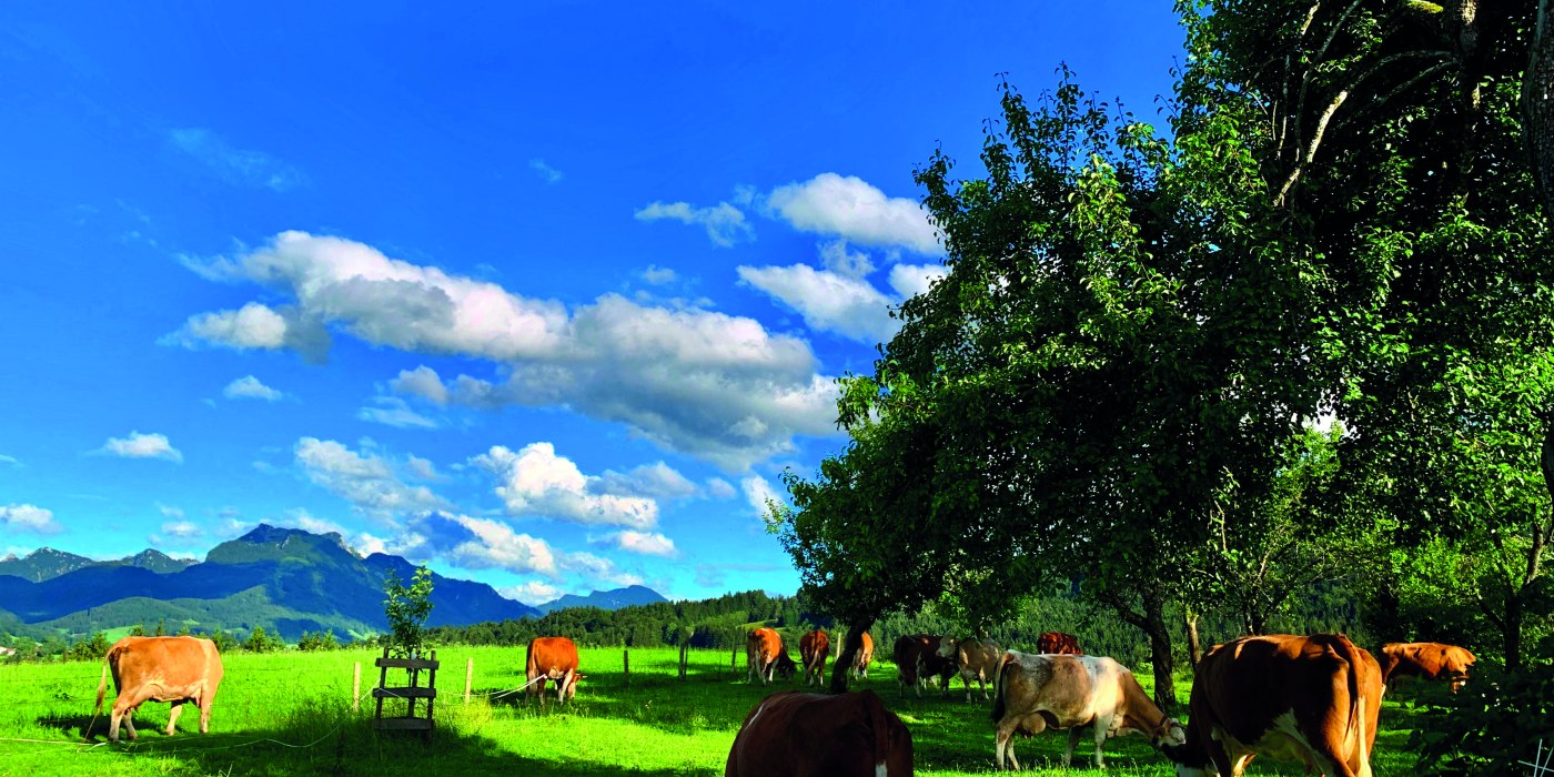 Biohof Unterstadl EKF, © Nopper Biohof Unterstadl EKF, © Nopper