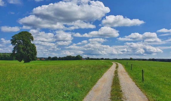 Weite Felder, &copy; Geo-Lehrpfad Holzkirchen