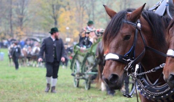 Leonhardi_2018 (c) Katharina Ausfelder, © Katharina Ausfelder