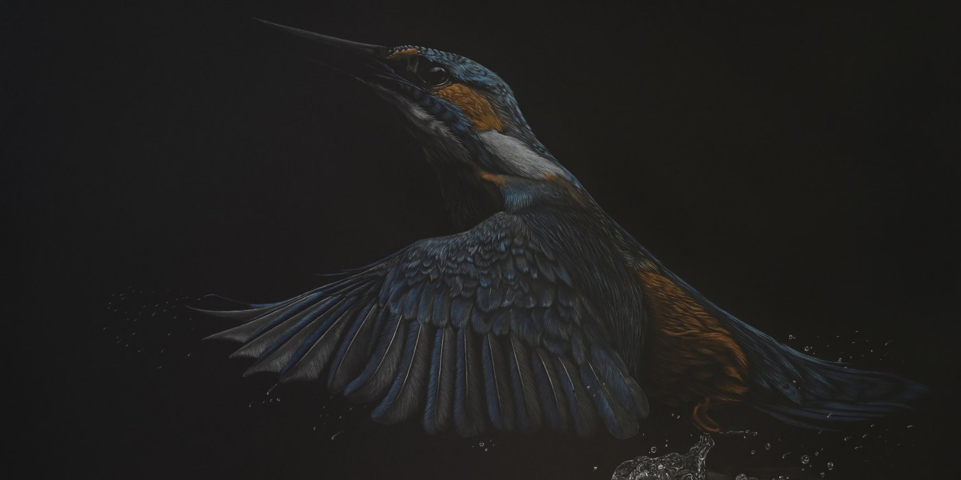 kingfisher_ausstellung26_1
