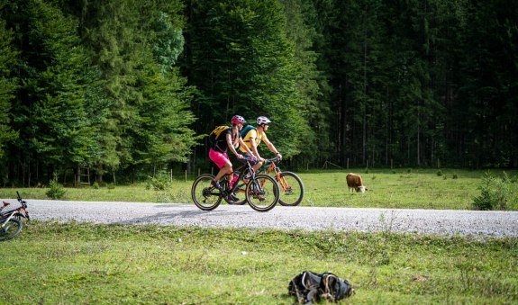 Rund um die Rotwand  (Tour Nr. 12 aus dem "RadlTraum Süd"), © Alpenregion Tegernsee Schliersee