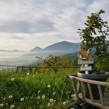 Ausblick, © im-web.de/ Touristinformation Fischbachau