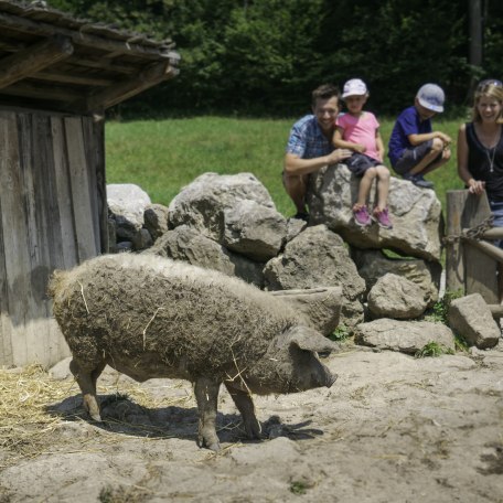 familie-klein-50 familie-klein-50