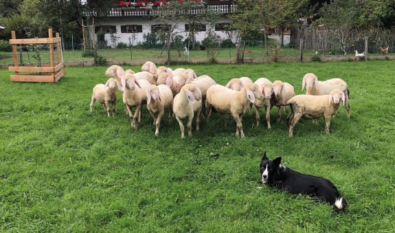 Birknerhof Warngau EKF