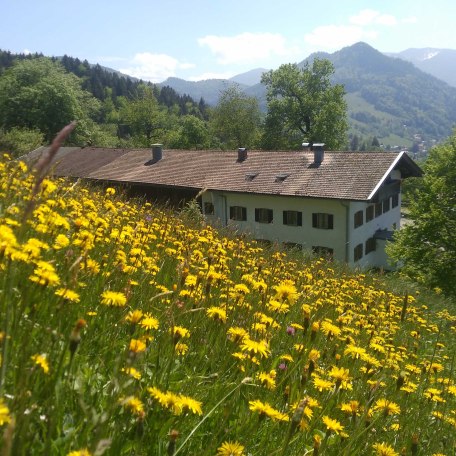 Hofansicht von Norden, © im-web.de/ Gäste-Information Schliersee in der vitalwelt schliersee