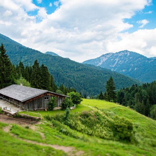 Alm Sillberghaus, © Florian Liebenstein