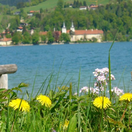 Privater Badestrand, © im-web.de/ Regionalentwicklung Oberland Kommunalunternehmen