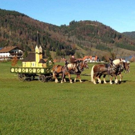 https://d1pgrp37iul3tg.cloudfront.net/objekt_pics/obj_full_58603_006.jpg, © im-web.de/ Gäste-Information Schliersee in der vitalwelt schliersee