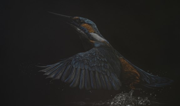kingfisher_ausstellung26_1 kingfisher_ausstellung26_1