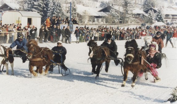 pony1_1, © Rennverein Parsberg