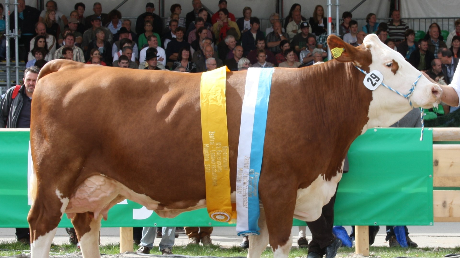 zuchtverband_3_1, © Zuchtverband Miesbach