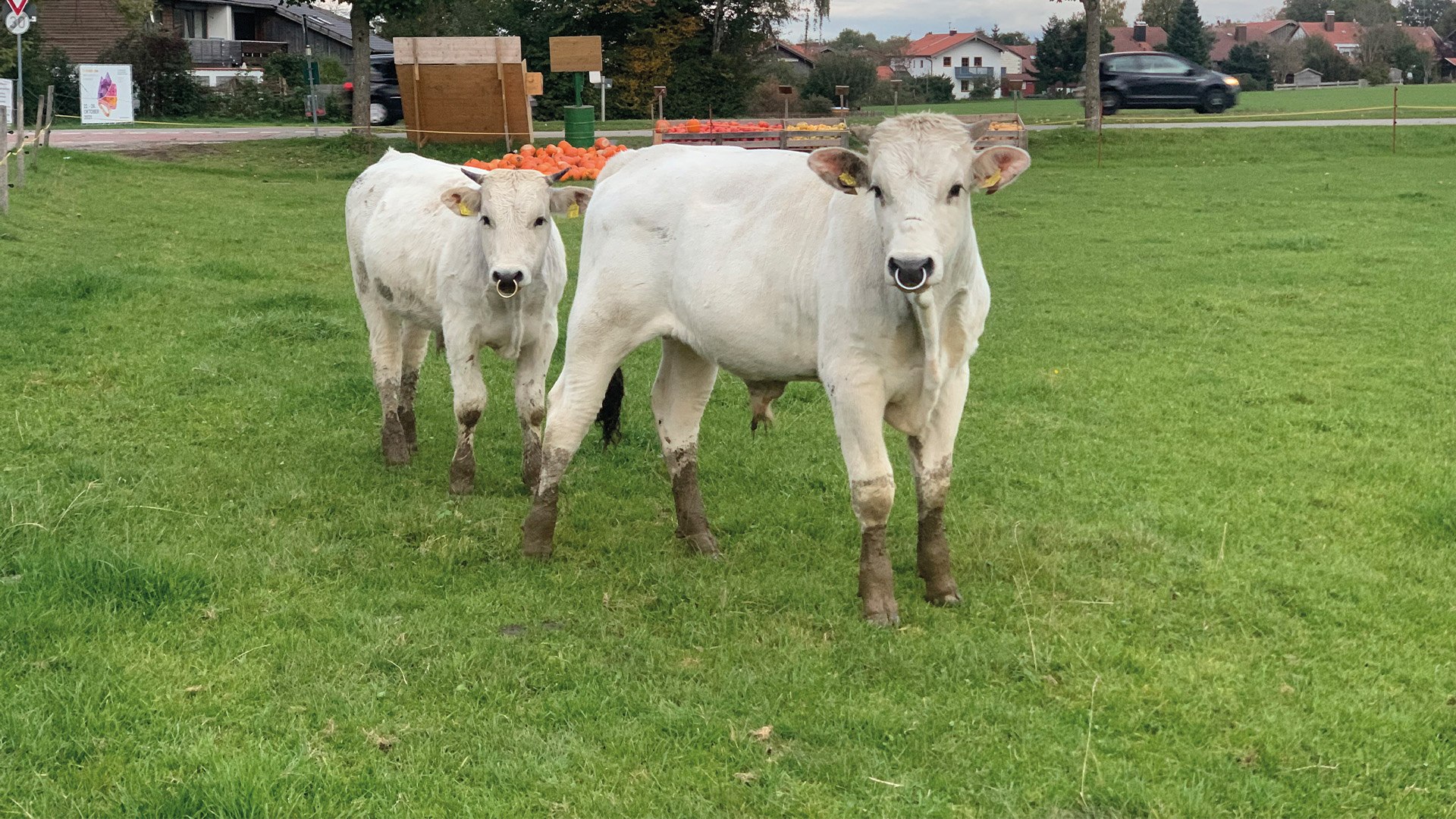 Lukasschusterhof EKF Lukasschusterhof EKF