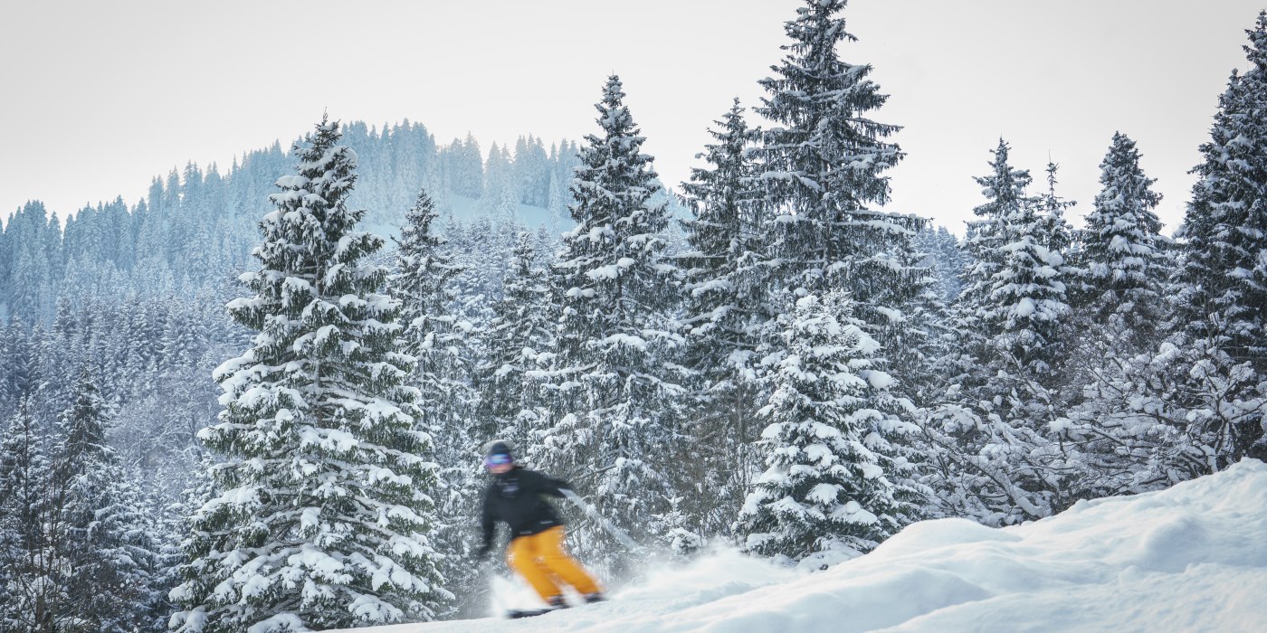 Winterstimmungen-120_DietmarDenger