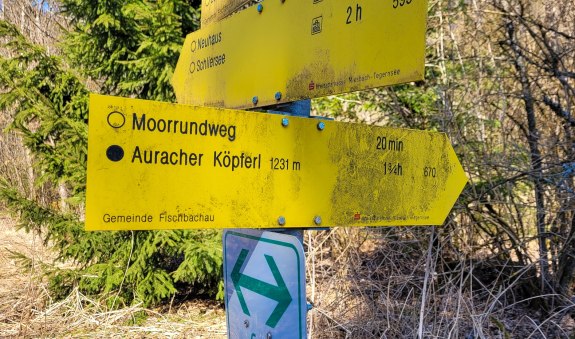 20230214113751-fd4e94bf-xx