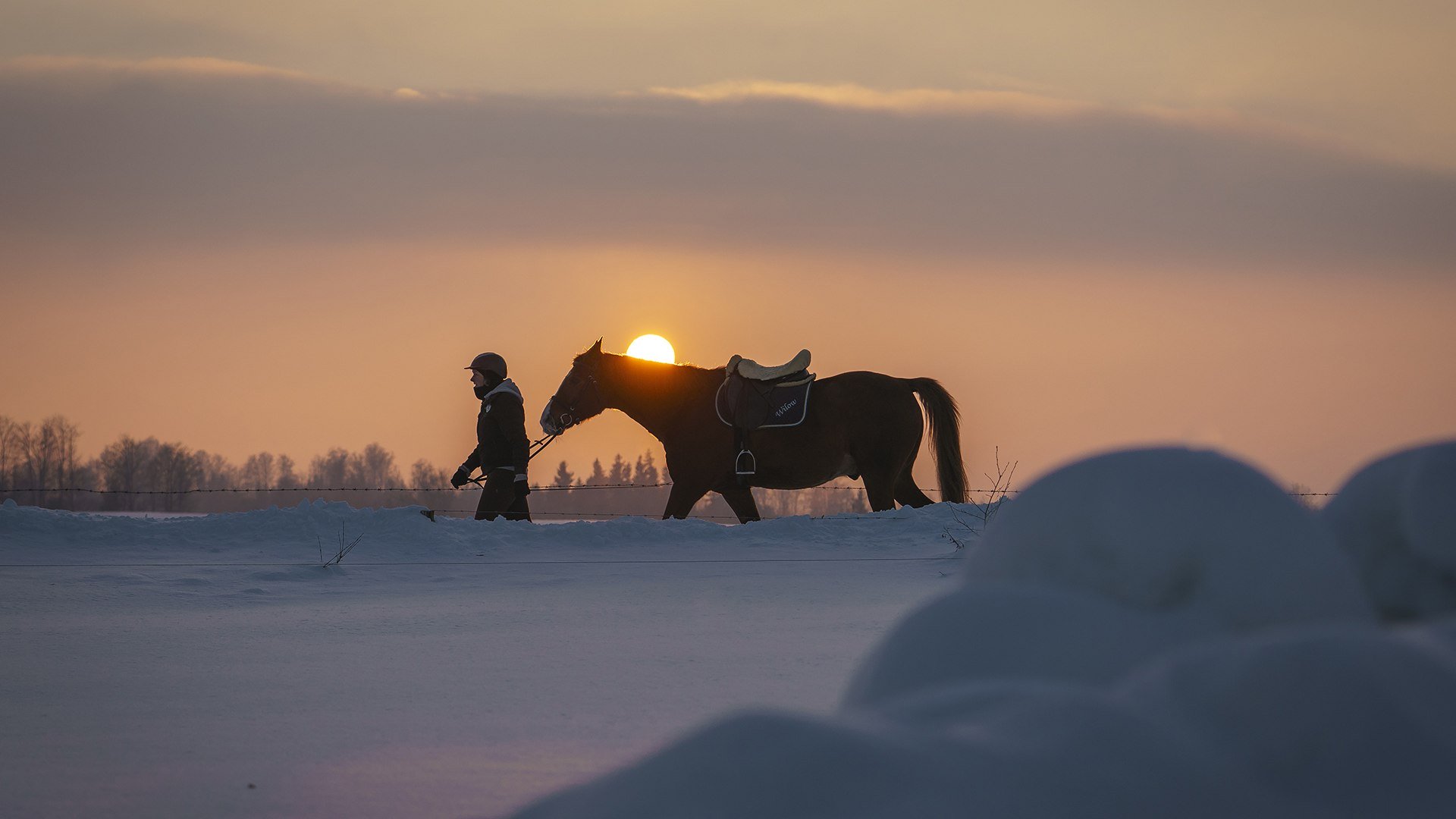 Reiten Winter Bayern, © Dietmar Denger