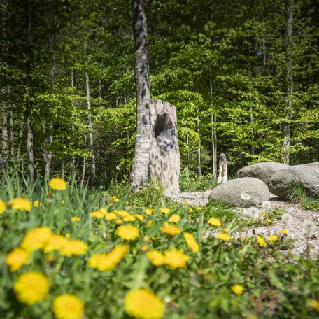 fruehling-shooting-2020-lowres_dietmar-denger-67_3