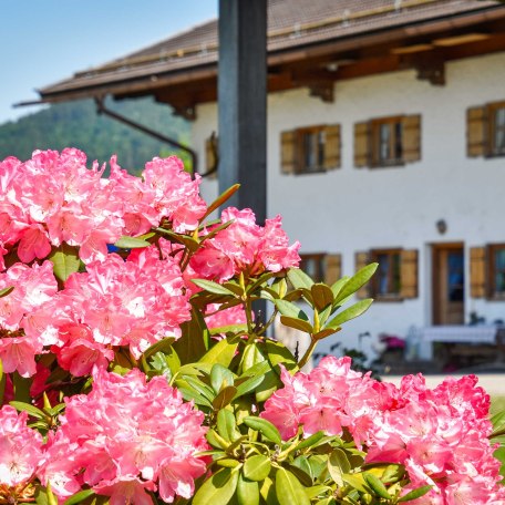 Blick auf unseren Hof., © im-web.de/ Tourist-Information Bad Wiessee