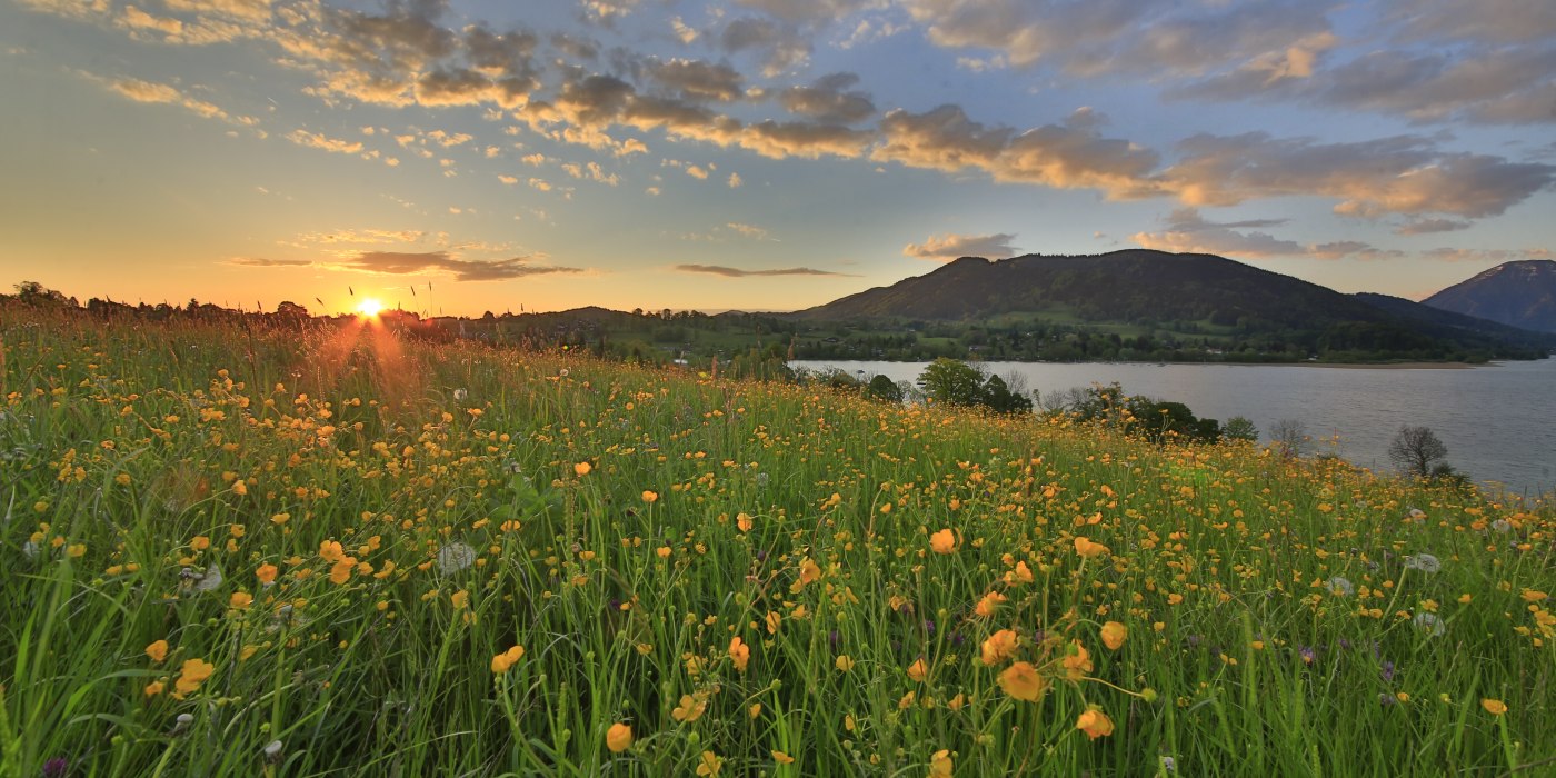 TTT_0514_EK_Ort_Frühling_Gmund-0007, © TTT-Egbert Krupp TTT_0514_EK_Ort_Frühling_Gmund-0007, © TTT-Egbert Krupp