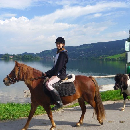 Ausritt am See, © im-web.de/ Gäste-Information Schliersee in der vitalwelt schliersee