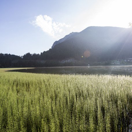 Landschaft Spitzingsee, © Hansi Heckmair