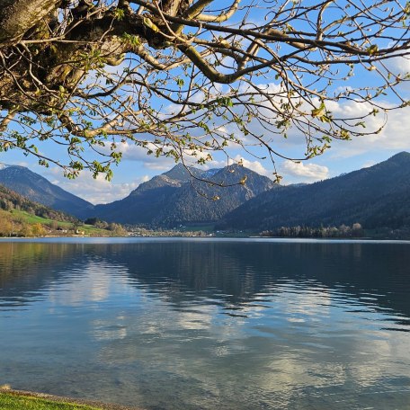 https://images.bs.ds-srv.net/objekt_pics/obj_full_28680_010.jpg, &copy; im-web.de/ G&auml;ste-Information Schliersee in der vitalwelt schliersee