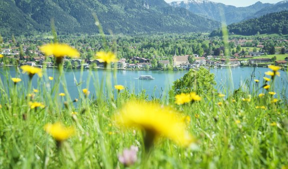 Frühlingsbild Blick auf Rottach-Egern Frühlingsbild Blick auf Rottach-Egern