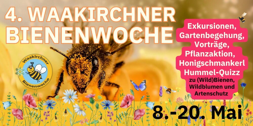 4. Waakirchner Bienenwoche (1)