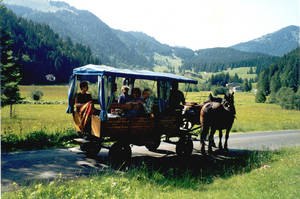 Kutschfahrten Hirtreiter