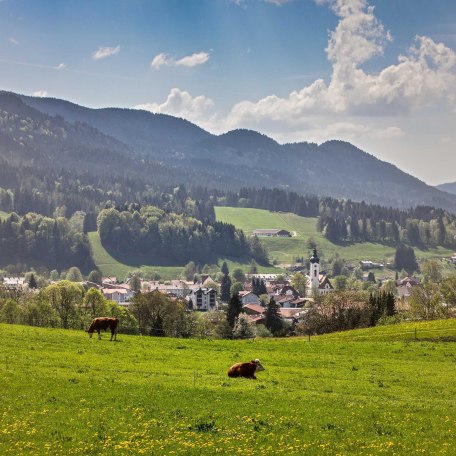 Aussicht, © im-web.de/ Gäste-Information Schliersee in der vitalwelt schliersee