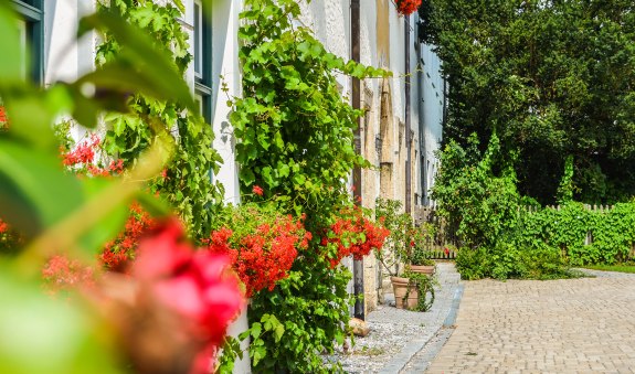weyarn_kloster_sommer_fl_2016 weyarn_kloster_sommer_fl_2016
