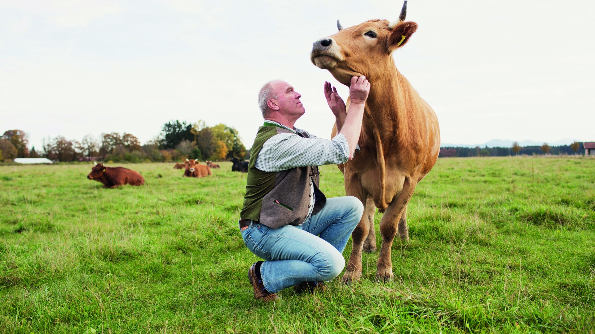 Archehof Schlickenrieder EKF