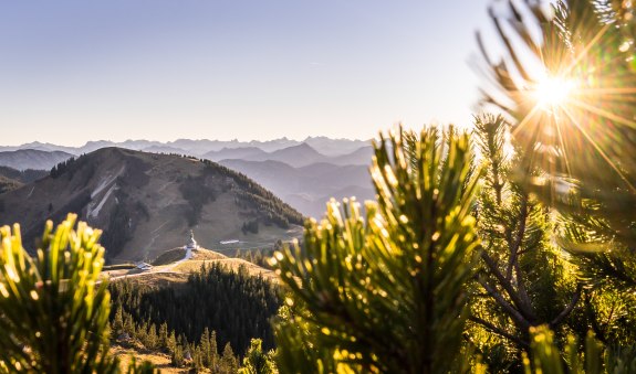 thf_presse_wanderung-wallberg-der-tegernsee_dietmar-denger_0006