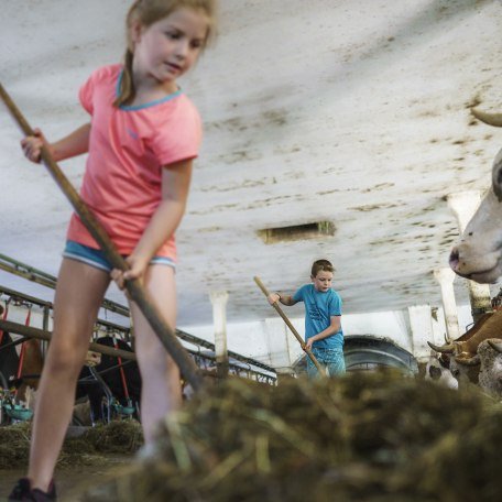 Urlaub auf dem Bauernhof Bayern, © Dietmar Denger