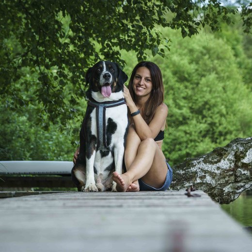 Urlaub Hund Bayern Schliersee, © Dietmar Denger