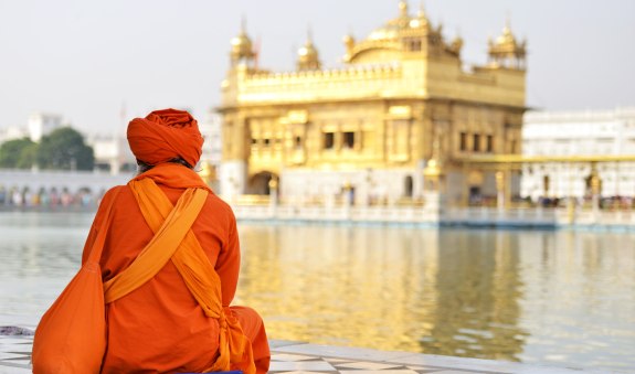 Indien_Violo_6