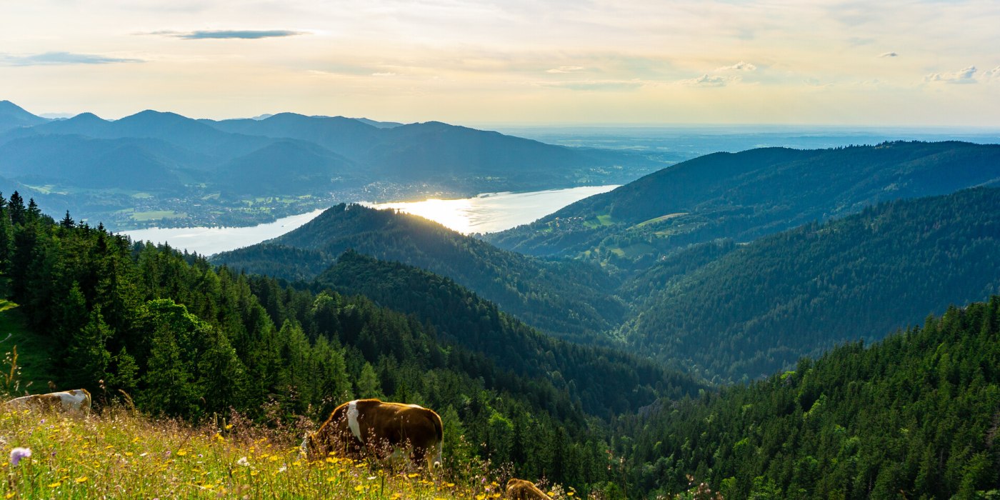 TTT_0719_StP_Aktiv_Wandern_Baumgartenschneid-0009, &copy; TTT-Plettenberg