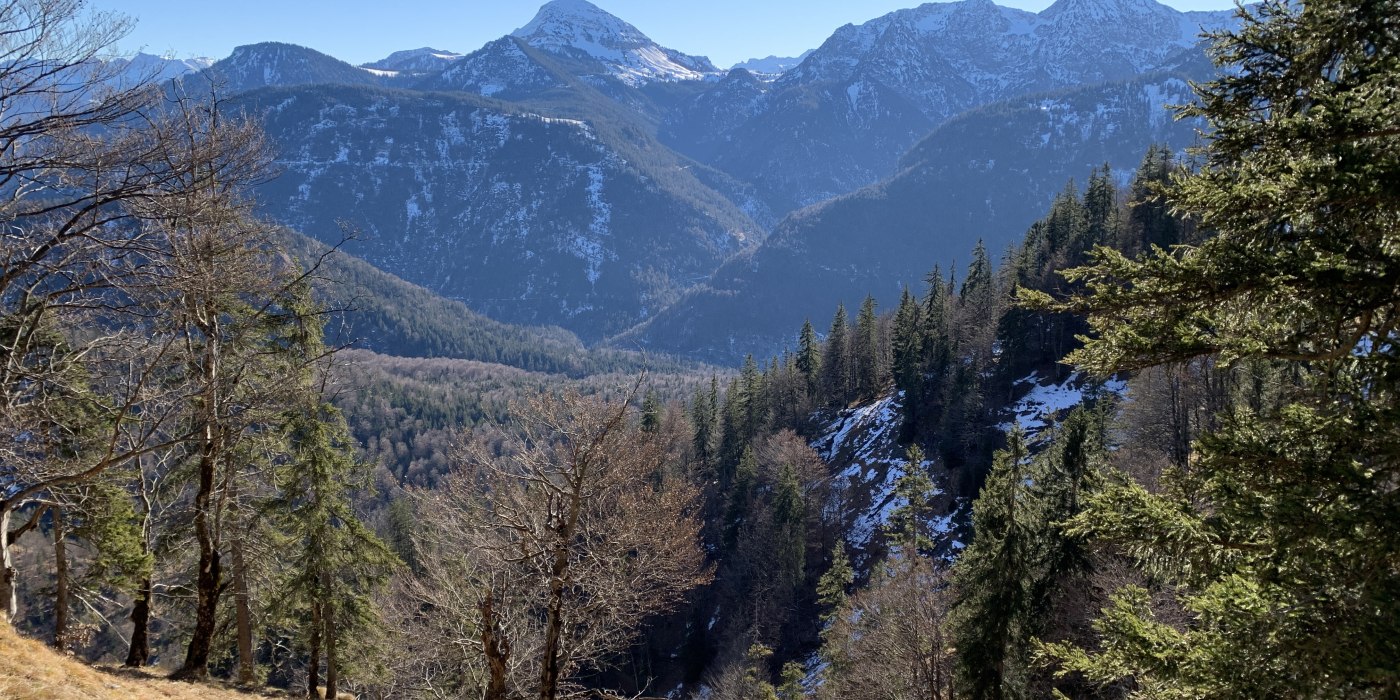 Naturkundliche Führung zur Hochalm, © Florian Bossert