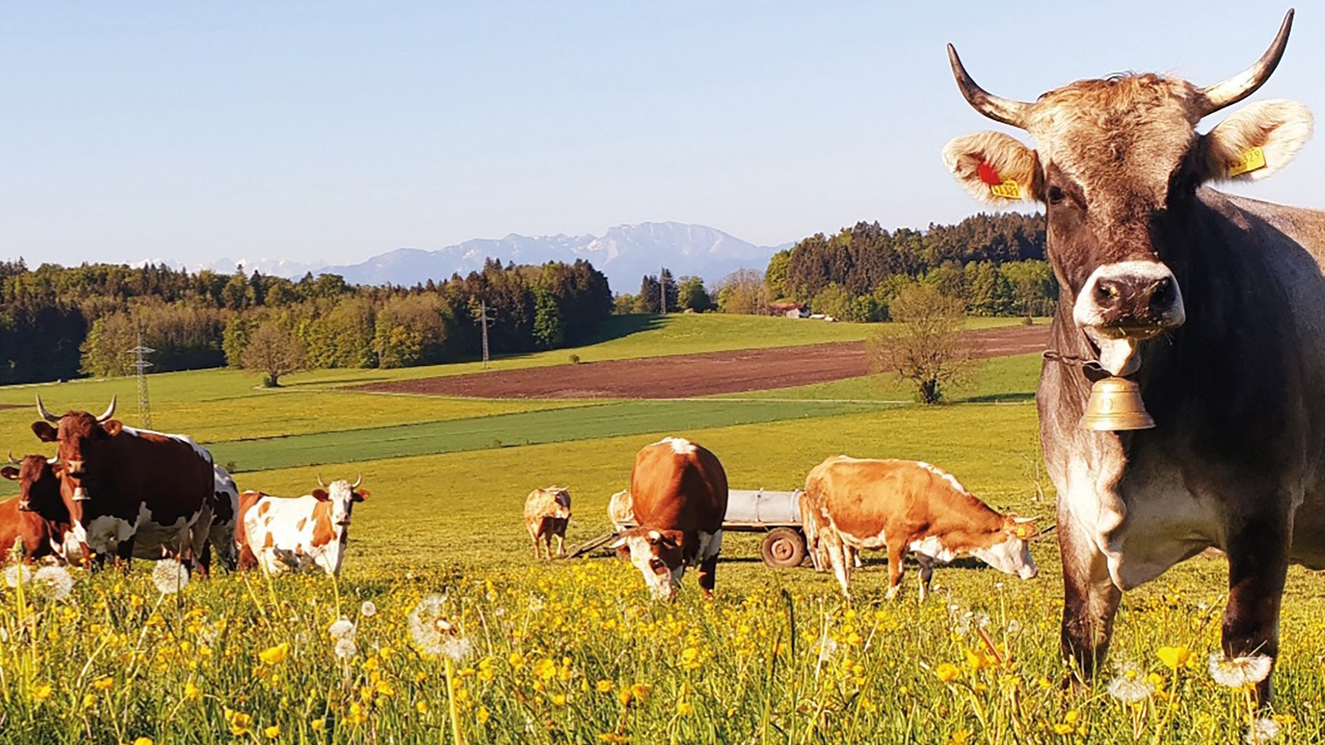 Stroblhof EKF Stroblhof EKF