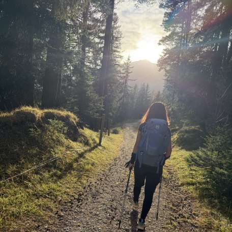 IMG_7973_2, © Florian Hornsteiner IMG_7973_2, © Florian Hornsteiner