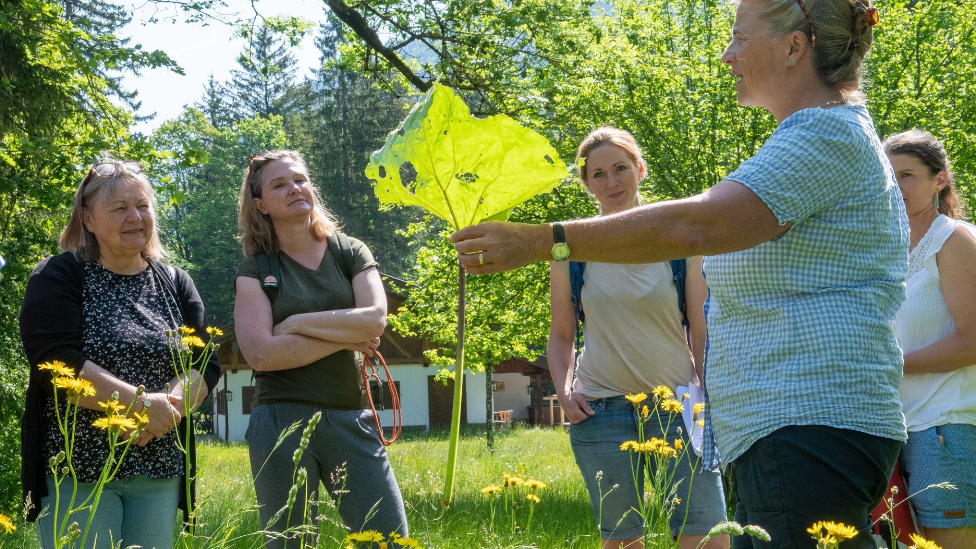 Kräuterwanderung © Der Tegernsee, Thomas Plettenberg (4) Kräuterwanderung © Der Tegernsee, Thomas Plettenberg (4)