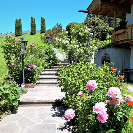 Treppe mit Pfingsrosen, © im-web.de/ Gäste-Information Schliersee in der vitalwelt schliersee