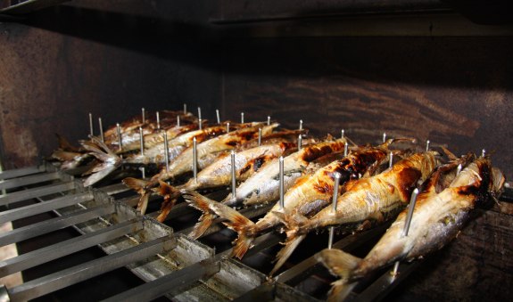 schauhi-mackerel-4705470