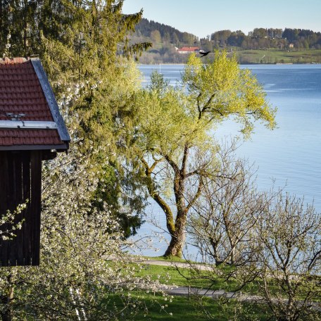 Seeblick, © im-web.de/ Tourist-Information Bad Wiessee