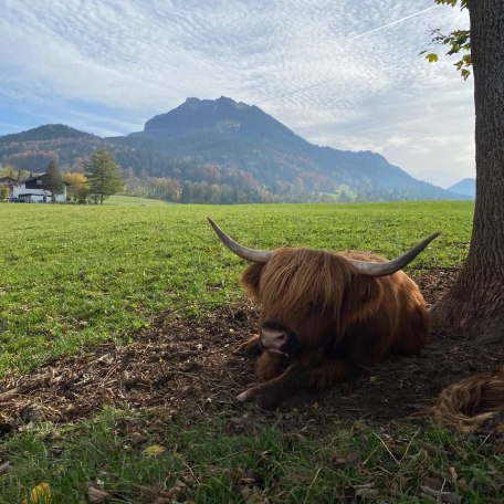 Ausblick, © im-web.de/ Touristinformation Fischbachau